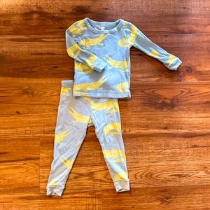 Tea Collection 2-piece Pajama Set 12-18 Months